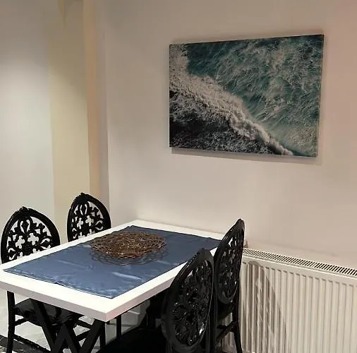 Apartment Center Of In Besiktas 2 1 With 2 Bathroom And 3 Air Conditioner Istanbul