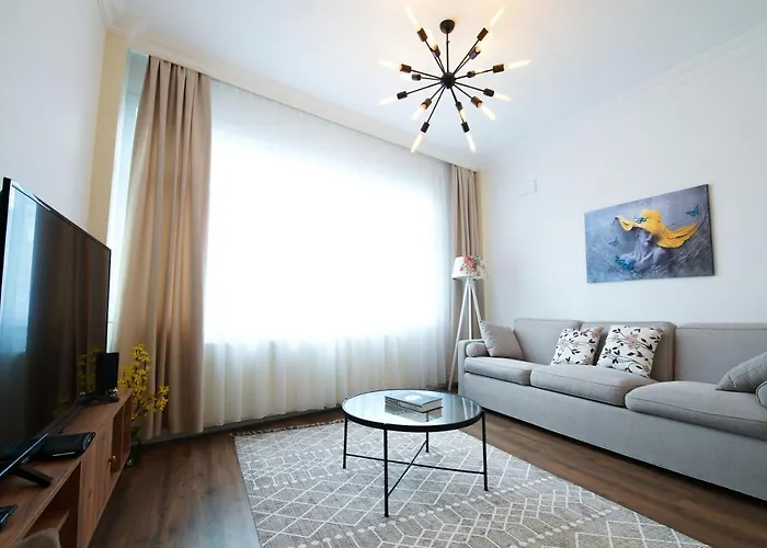 Center Of In Besiktas 2 1 With 2 Bathroom And 3 Air Conditioner Apartment Istanbul