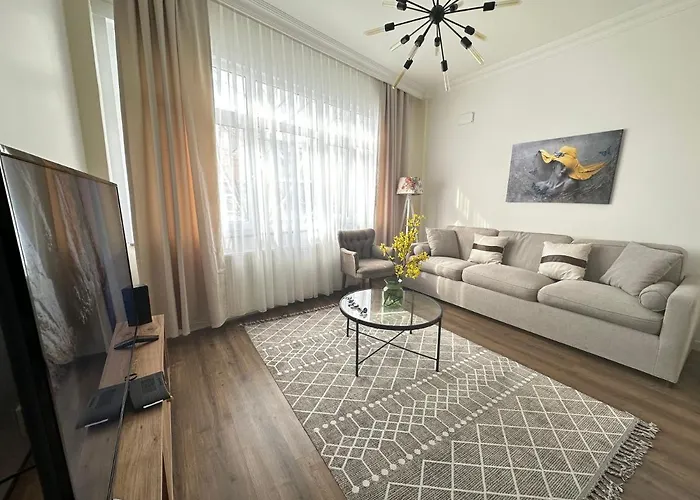 Apartment Center Of In Besiktas 2 1 With 2 Bathroom And 3 Air Conditioner Istanbul