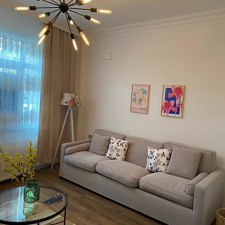 公寓 Center Of In Besiktas 2 1 With 2 Bathroom And 3 Air Conditioner
