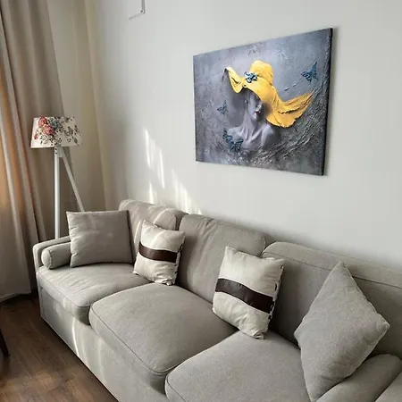 Center Of In Besiktas 2 1 With 2 Bathroom And 3 Air Conditioner * Istanbulská provincie